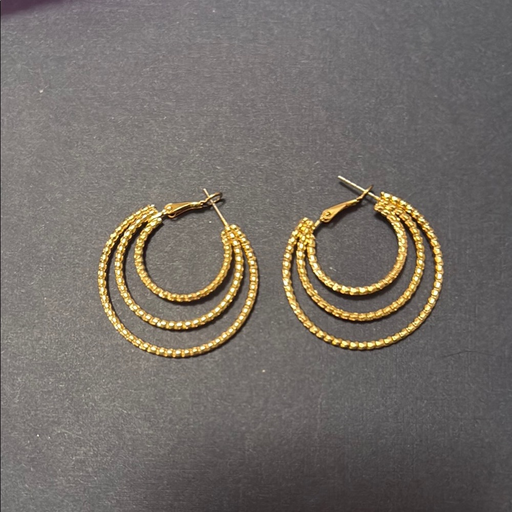 Elegant Gold Hoop Earrings